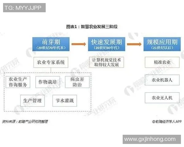 全球挑战赛中FPX的比赛经验分析与表现评估实时新闻