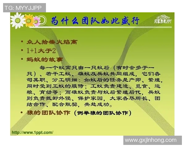 职业联赛V5团队协作表现分析与评价探讨实时新闻