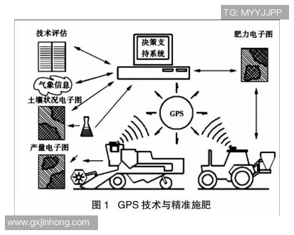 2026电竞新闻和平精英焦点LNG技术解析与应用前景探讨